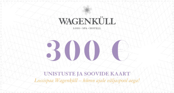 Kinkekaart 300 €